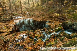 Northgate Falls • Simsbury, CT