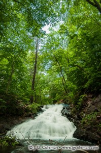 Wintergreen Falls • Hamden, CT